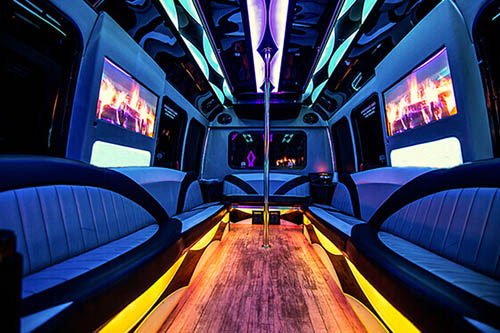 18 passenger party bus