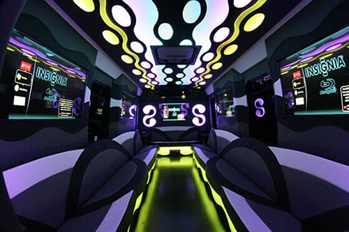 22 passenger party bus