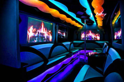 30 Passenger Party Bus Rental